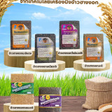 วว. นำเสนอนวัตกรรมเพิ่มมูลค่า “ข้าว” ภายใต้ ครม. สัญจร จังหว ... พารามิเตอร์รูปภาพ 2